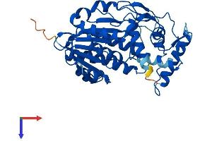 HSD3B7 Protein (AA 1-369) (His tag)