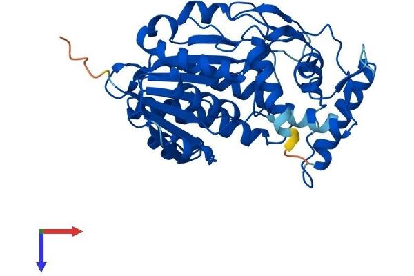 HSD3B7 Protein (AA 1-369) (His tag)