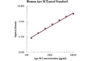 ELISA image for Apolipoprotein M (APOM) ELISA Kit (ABIN3199197)