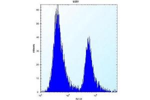 Flow cytometric analysis of U251 cells using PEG10 Antibody (N-term) Cat. (PEG10 抗体  (N-Term))