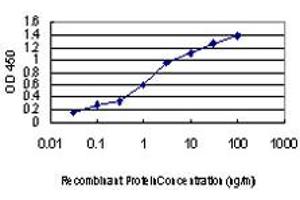 Detection limit for recombinant GST tagged MAP4K5 is approximately 0. (MAP4K5 抗体  (AA 361-470))