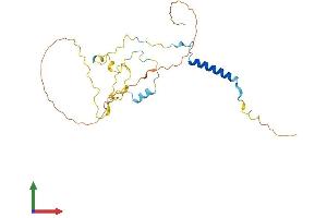 Protein Structure (PS) image for Spermatogenesis Associated, Serine-Rich 1 (SPATS1) (AA 1-269) protein (His tag) (ABIN7561976)