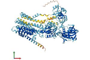Protein Structure (PS) image for ATPase, Ca++ Transporting, Type 2C, Member 1 (ATP2C1) (AA 1-918) protein (His tag) (ABIN7564290)