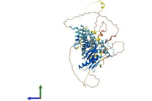 Protein Structure (PS) image for Tigger Transposable Element Derived 5 (TIGD5) (AA 1-642) protein (His tag) (ABIN7557375)
