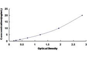 Typical standard curve (Adenylate Kinase 3 ELISA 试剂盒)