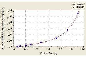 Typical standard curve (BMPR2 ELISA 试剂盒)