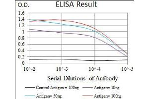 Black line: Control Antigen (100 ng), Purple line: Antigen(10 ng), Blue line: Antigen (50 ng), Red line: Antigen (100 ng), (Intestinal Alkaline Phosphatase 抗体  (AA 397-458))