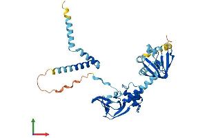 AlphaFold protein structure predicition of Mouse Recombinant Prkar1a Protein, UniprotID Q9DBC7