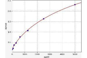 PADI2 ELISA 试剂盒