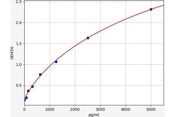 PADI2 ELISA 试剂盒