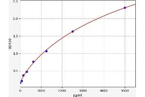 Typical standard curve (PADI2 ELISA 试剂盒)