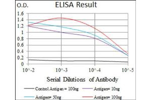 Red: Control Antigen (100ng) ; Purple: Antigen (10ng) ; Green: Antigen (50ng) ; Blue: Antigen (100ng). (Chromogranin A 抗体  (AA 87-252))
