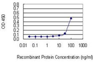 Detection limit for recombinant GST tagged FLRT1 is 10 ng/ml as a capture antibody. (FLRT1 抗体  (AA 1-674))