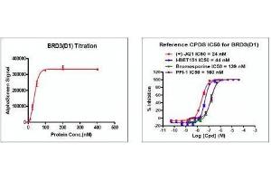Recombinant BRD3 (24-144) activity using AlphaScreen. (BRD3 Protein (AA 24-144) (His tag,DYKDDDDK Tag))