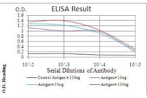 Black line: Control Antigen (100 ng), Purple line: Antigen(10 ng), Blue line: Antigen (50 ng), Red line: Antigen (100 ng), (G-CSF 抗体  (AA 1-207))