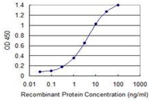 Detection limit for recombinant GST tagged PCDHGB2 is 0. (PCDHGB2 抗体  (AA 94-199))