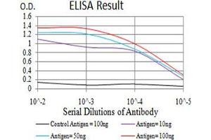 Black line: Control Antigen (100 ng);Purple line: Antigen (10ng); Blue line: Antigen (50 ng); Red line:Antigen (100 ng) (c-MET 抗体  (AA 743-932))