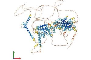 Protein Structure (PS) image for Sterol Regulatory Element Binding Transcription Factor 2 (SREBF2) (AA 1-1141) protein (His tag) (ABIN7555603)