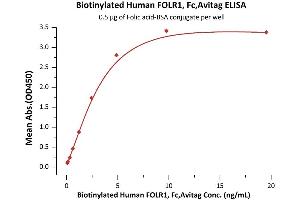 Immobilized Folic acid-BSA conjugate at 5 μg/mL (100 μL/well) can bind Biotinylated Human FOLR1, Fc,Avitag (ABIN6731323,ABIN6809954) with a linear range of 0.