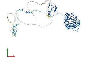 Protein Structure (PS) image for Block of Proliferation 1 (BOP1) (AA 1-746) protein (His tag) (ABIN7552741)