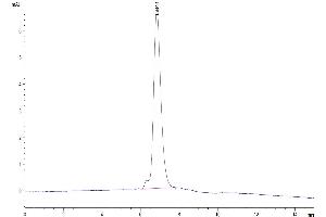 Size-exclusion chromatography-High Pressure Liquid Chromatography (SEC-HPLC) image for Receptor tyrosine-protein kinase erbB-2 (ErbB2/Her2) (AA 23-652) protein (His-Avi Tag,Biotin) (ABIN7274800)