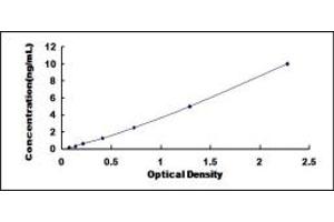 Typical standard curve (HNRNPU ELISA 试剂盒)