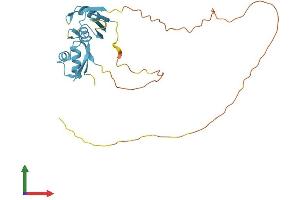 Protein Structure (PS) image for serine/arginine-Rich Splicing Factor 5 (SRSF5) (AA 1-269) protein (His tag) (ABIN7562303)