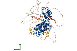 Protein Structure (PS) image for Regulatory Factor X 2 (RFX2) (AA 1-723) protein (His tag) (ABIN7555193)