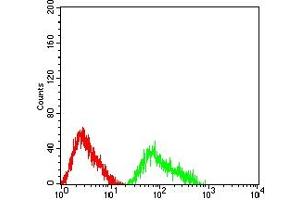 Flow cytometric analysis of HL-60 cells using CD307C mouse mAb (green) and negative control (red). (FCRL3 抗体  (AA 18-153))