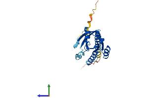Protein Structure (PS) image for RAB17, Member RAS Oncogene Family (RAB17) (AA 1-212) protein (His tag) (ABIN7555135)