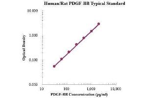 ELISA image for PDGF-BB Homodimer ELISA Kit (ABIN3198604) (PDGF-BB Homodimer ELISA 试剂盒)