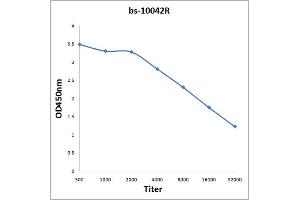 Antigen: 2 µg/100 µL  Primary: Antiserum, 1:500, 1:1000, 1:2000, 1:4000, 1:8000, 1:16000, 1:32000;  Secondary: HRP conjugated Rabbit Anti-Goat IgG at 1: 5000;  TMB staining Read the data in Microplate Reader by 450nm. (GluR1, GluR2 抗体  (AA 141-240))