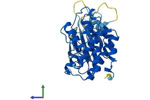 Protein Structure (PS) image for Cyclin-Dependent Kinase 5 (CDK5) (AA 1-292) protein (His tag) (ABIN7563341)