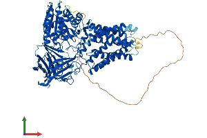 Protein Structure (PS) image for Endoplasmic Reticulum Metallopeptidase 1 (ERMP1) (AA 1-898) protein (His tag) (ABIN7563757)