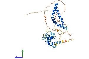 Protein Structure (PS) image for Deoxynucleotidyltransferase, Terminal, Interacting Protein 1 (DNTTIP1) (AA 1-329) protein (His tag) (ABIN7544338)