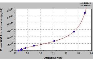Typical Standard Curve (WNT1 ELISA 试剂盒)