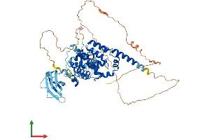 Protein Structure (PS) image for SHQ1 Homolog (SHQ1) (AA 1-577) protein (His tag) (ABIN7546241)