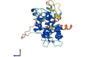 Protein Structure (PS) image for Calpain, Small Subunit 2 (CAPNS2) (AA 1-248) protein (His tag) (ABIN7546831)
