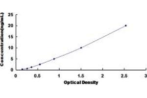 Typical standard curve (CES1 ELISA 试剂盒)