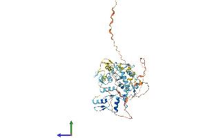 AlphaFold protein structure predicition of Human Recombinant ZNF772 Protein, UniprotID Q68DY9