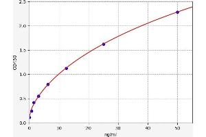 Typical standard curve (Platelet activating factor (PAF) ELISA 试剂盒)