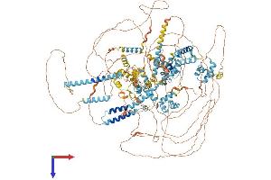 SNAPC4 Protein (AA 1-1469) (His tag)