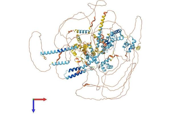 SNAPC4 Protein (AA 1-1469) (His tag)
