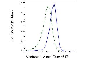 Validation of Mitofusin 1 knockdown using flow cytometry. (Recombinant MFN1 抗体)