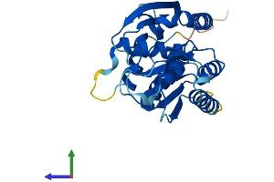 Protein Structure (PS) image for Chromosome 1 Open Reading Frame 74 (C1ORF74) (AA 1-269) protein (His tag) (ABIN7552952)