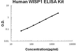 Human WISP1/CCN4 PicoKine ELISA Kit standard curve (WISP1 ELISA 试剂盒)