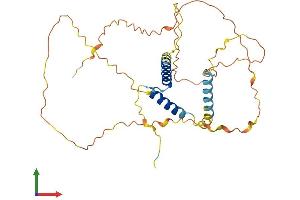 Protein Structure (PS) image for Spermatogenesis and Oogenesis Specific Basic Helix-Loop-Helix 1 (SOHLH1) (AA 1-328) protein (His tag) (ABIN7546294)