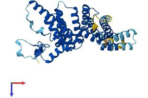 AlphaFold protein structure predicition of Human Recombinant ZMYND12 Protein, UniprotID Q9H0C1