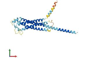 Protein Structure (PS) image for Glycoprotein M6A (GPM6A) (AA 1-278) protein (His tag) (ABIN7548057)