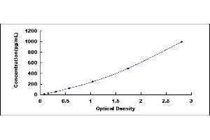 Typical standard curve (NEFH ELISA 试剂盒)